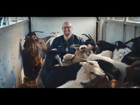 Super Bowl LIII #HeadstrongAd – Get Your Goat Rentals